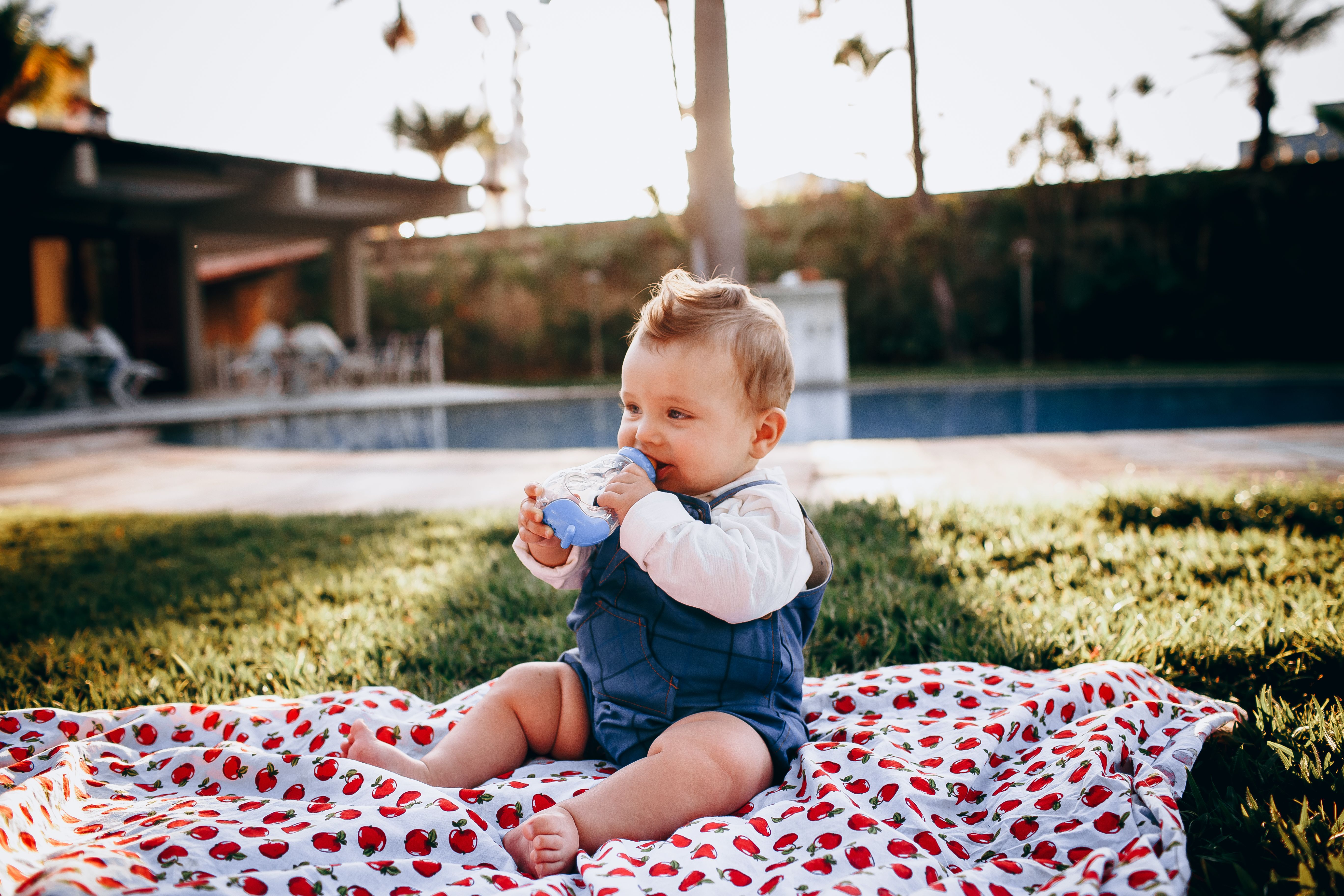 Sécuriser son jardin et ses espaces extérieurs : le guide complet pour protéger bébé