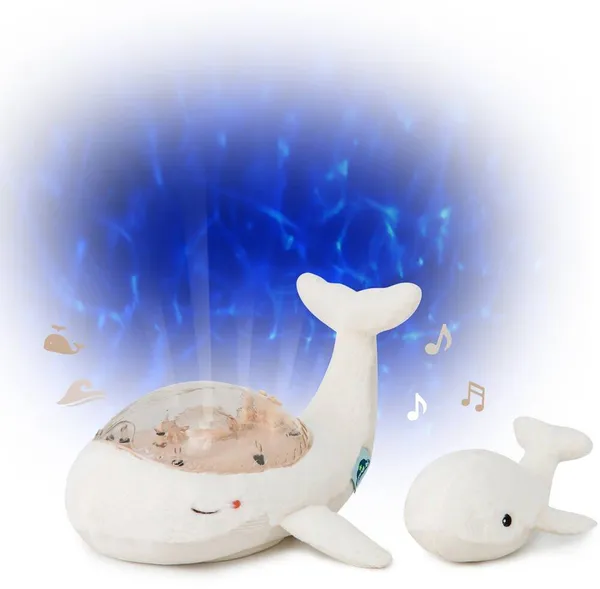 Famille de Baleines tranquilles blanches - Cloud B