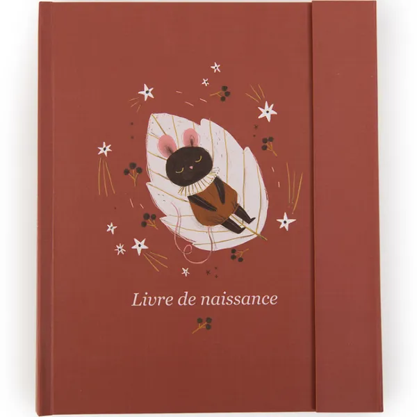 Livre de naissance Après la pluie - Moulin Roty
