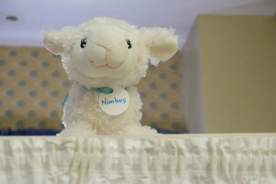 🎁 Cadeaux de naissance personnalisés : des attentions uniques pour célébrer l’arrivée de bébé